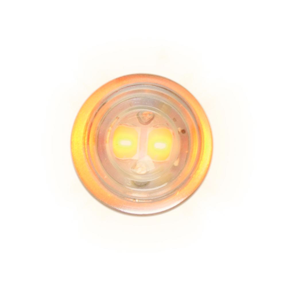 194/168 2 High Power LED Bulbs