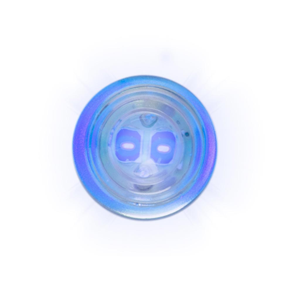 194/168 2 High Power LED Bulbs