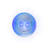 194/168 2 High Power LED Bulbs