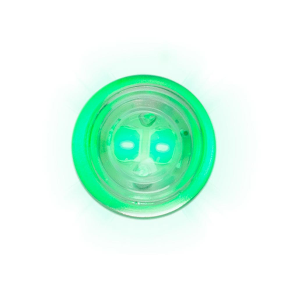 194/168 2 High Power LED Bulbs