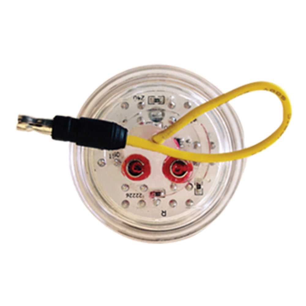 2-1/2" Dual Revolution LED Light