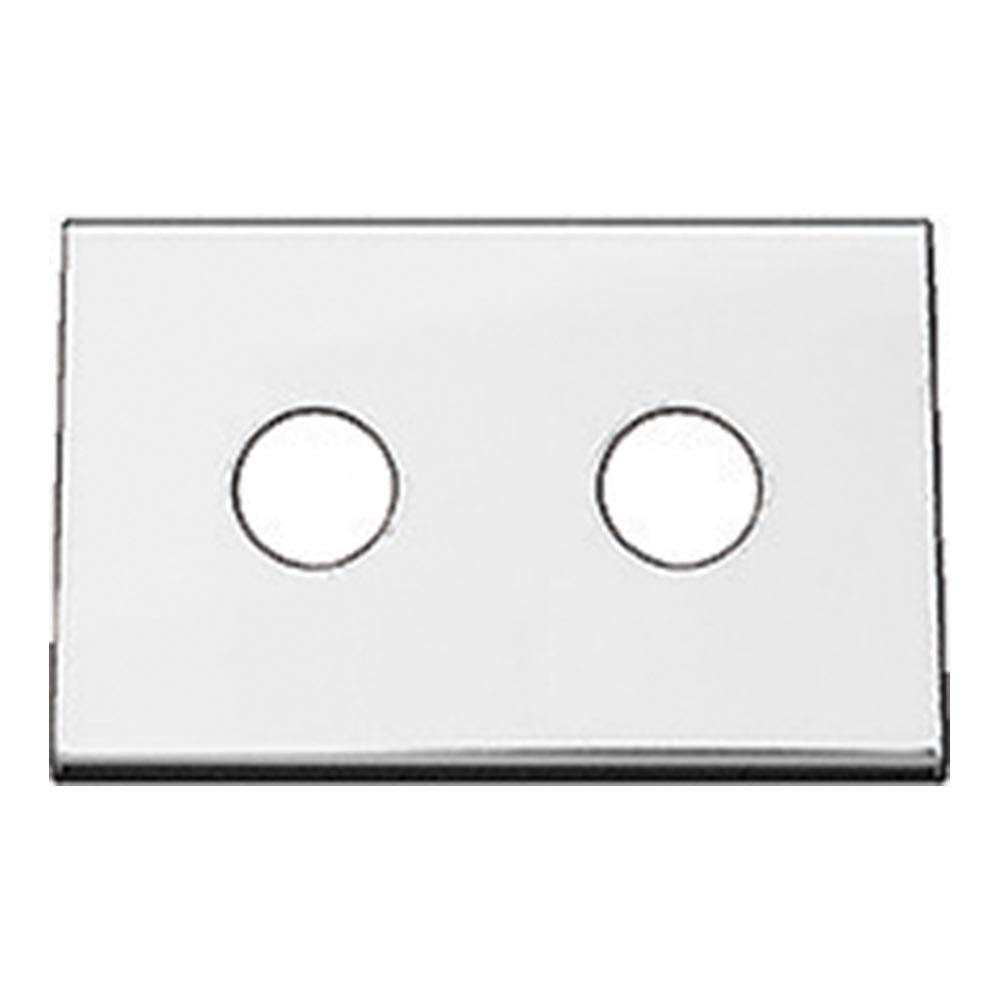 Stainless Steel 2 Hole Switch Panel with Mounting Lip