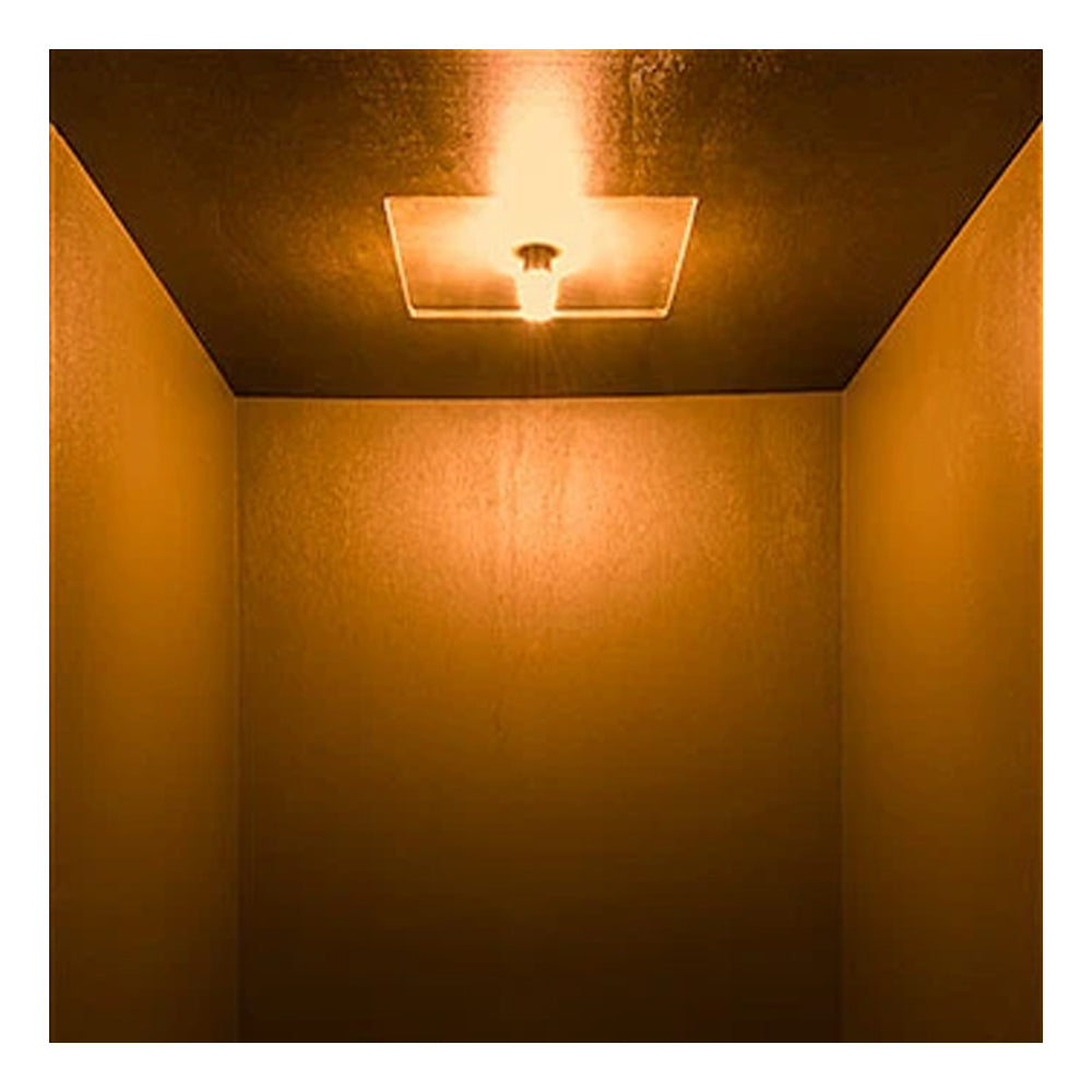 Super Bright 67 Light Bulbs with 15 LEDs - 2 Pack