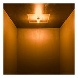 Super Bright 67 Light Bulbs with 15 LEDs - 2 Pack