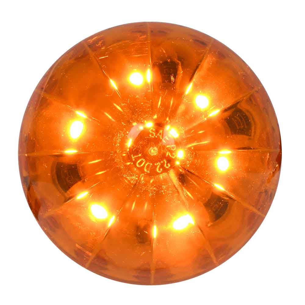 2" Watermelon LED Light
