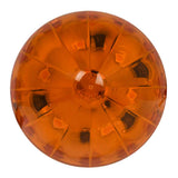 2" Watermelon LED Light