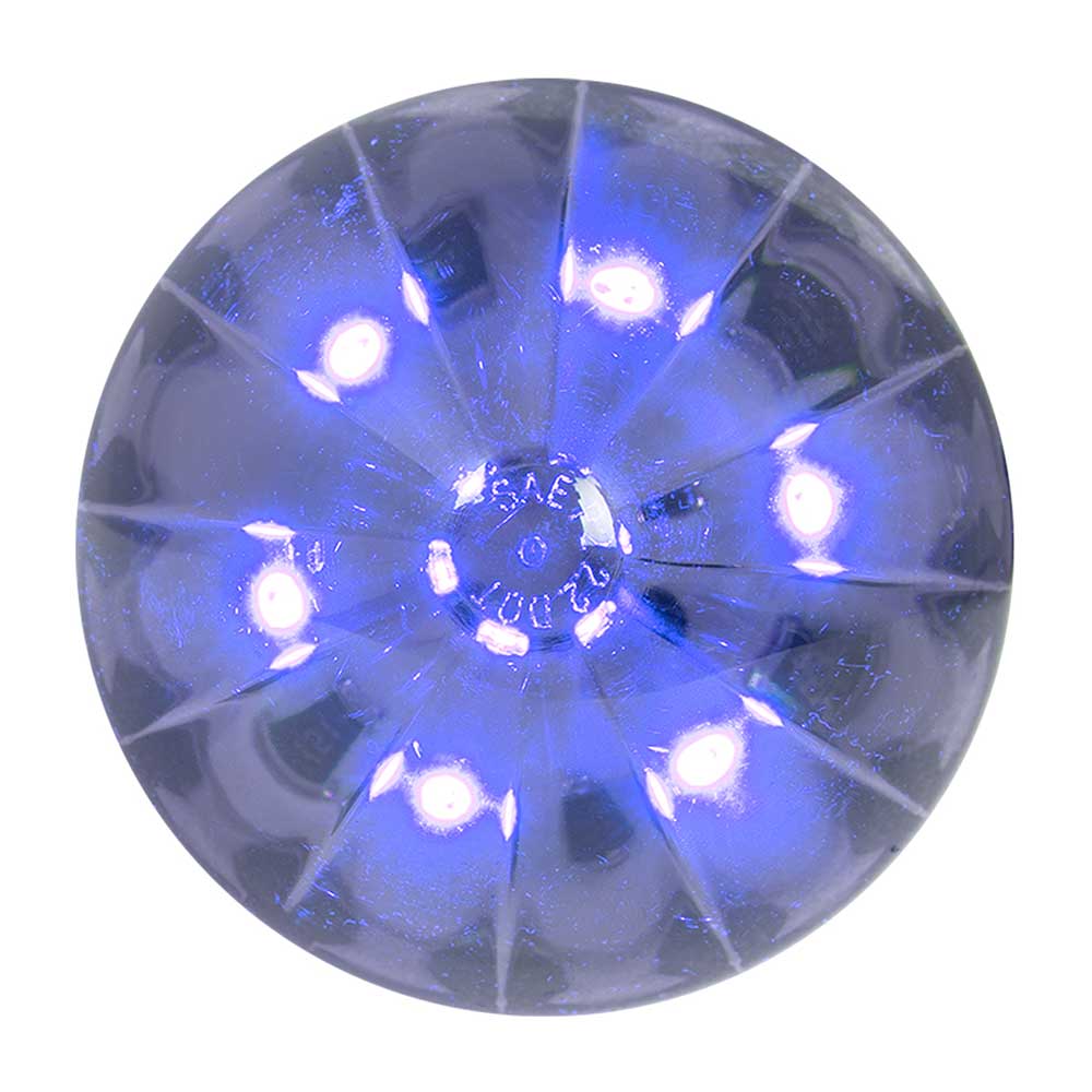 2-1/2" Watermelon LED Light in Smoke Lens