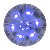 2-1/2" Watermelon LED Light in Smoke Lens