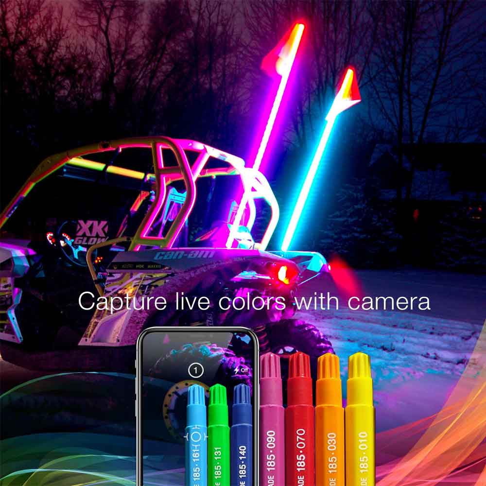 32" 2 Piece Whip Light Kit