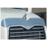 Mack CX 2007+ Stainless Steel Bug Shield