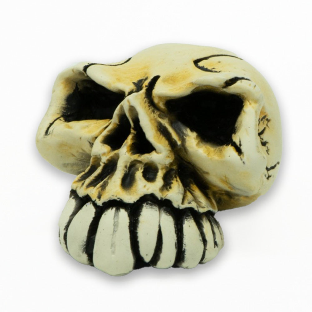 Ombre Skull Shifter Knob