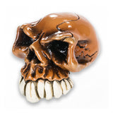 Ombre Skull Shifter Knob