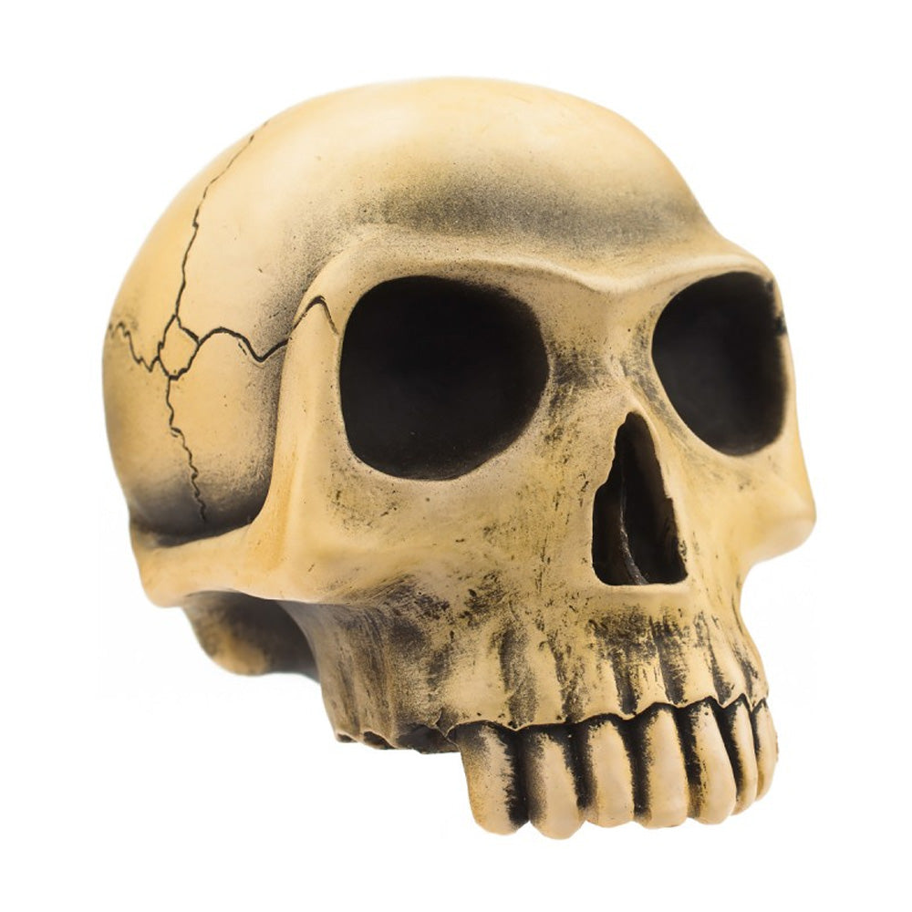 Richard Cranium Skull Shifter