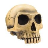 Richard Cranium Skull Shifter