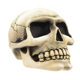 Small Skull Shifter Knob