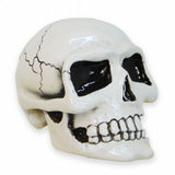 Small Skull Shifter Knob