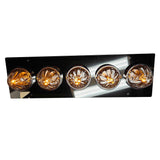 Peterbilt 379 Sleeper Dome Light Bracket with 5 Watermelon Light Holes
