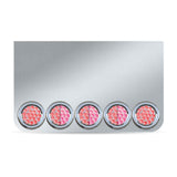 20" Drop Center Panel with Eight 4" Red/Pink LEDS