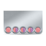 20" Drop Center Panel with Eight 4" Red/Purple LEDS
