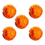 Watermelon Glass Lens Only - 5 Pack