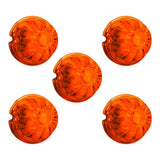 Watermelon Glass Lens Only - 5 Pack