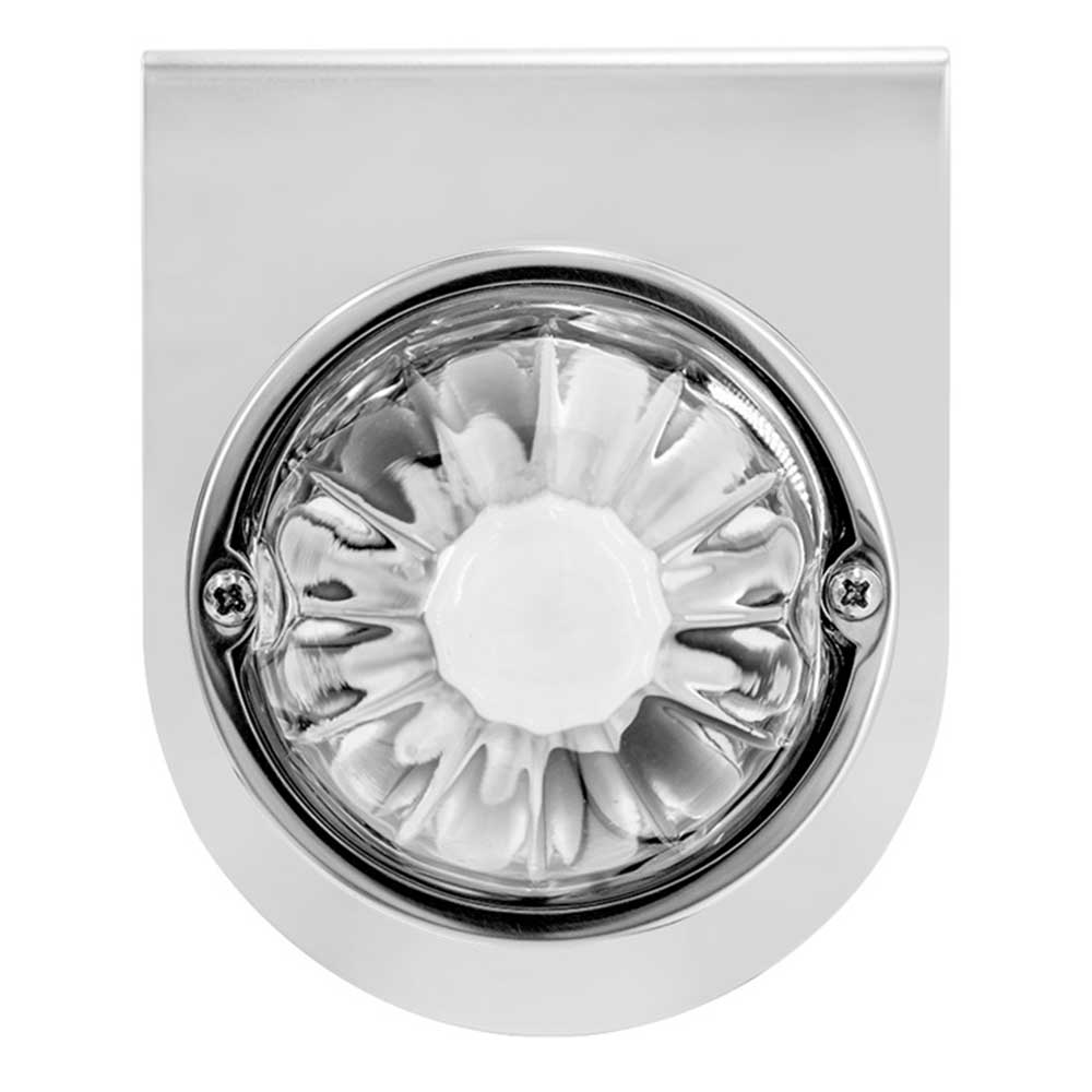 Dual Function Clear Glass Watermelon Light with Stainless Steel Light Bracket and Red LED Bulb