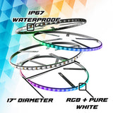 XK Max Wheel Under Glow Kit