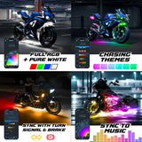 Sixteen Piece XKMax Engine, Under Glow and Accent Light Kit