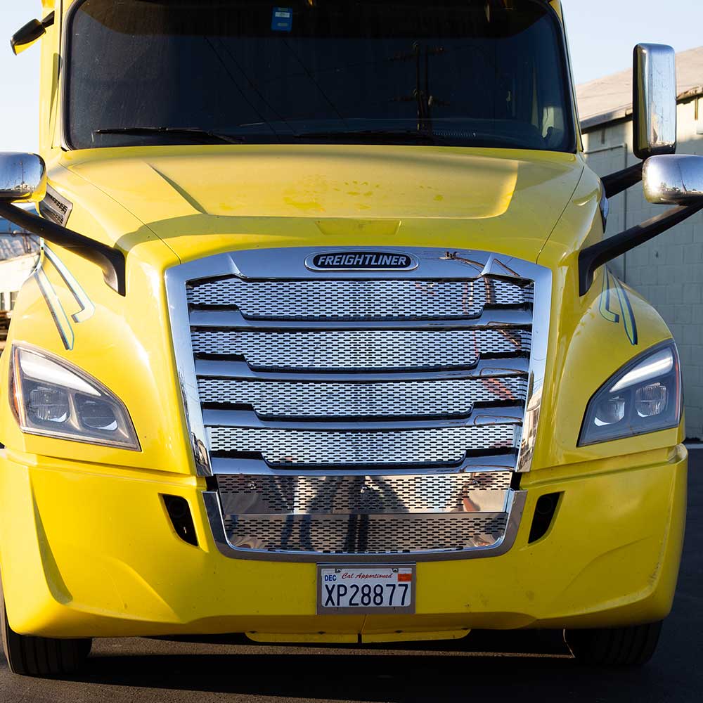 Freightliner Cascadia 2017+ Grill Mesh Insert