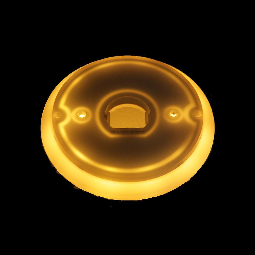 Halo Glow LED Watermelon Back Light