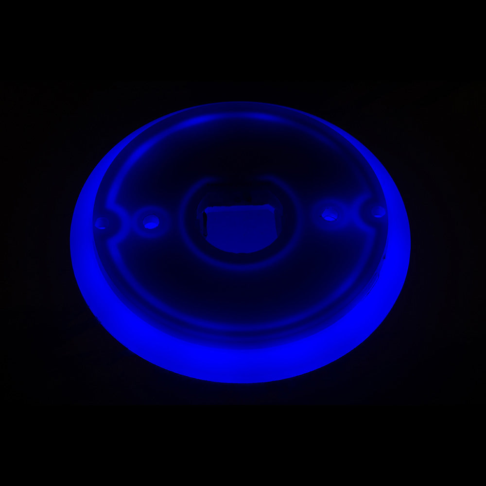 Halo Glow LED Watermelon Back Light