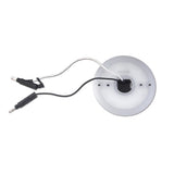 Halo Glow LED Watermelon Back Light