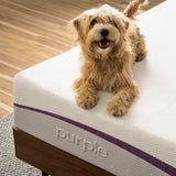 38" x 80" x 11" Purple Plus Mattress
