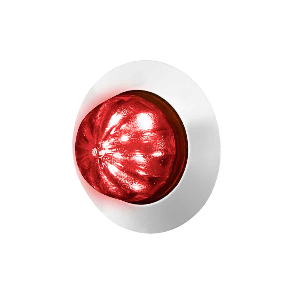 1-1/4" Dual 6 LED Watermelon Light with Stainless Steel Bezel