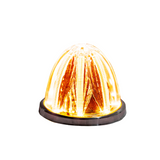 Stellar LED Watermelon Light