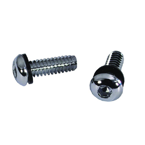 STAINLESS DASH SCREWS