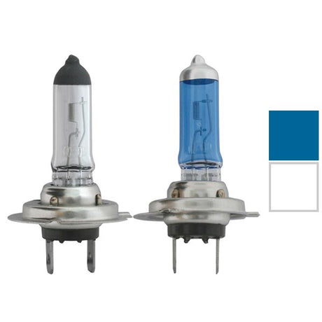 Halogen headlight bulbs (PR)