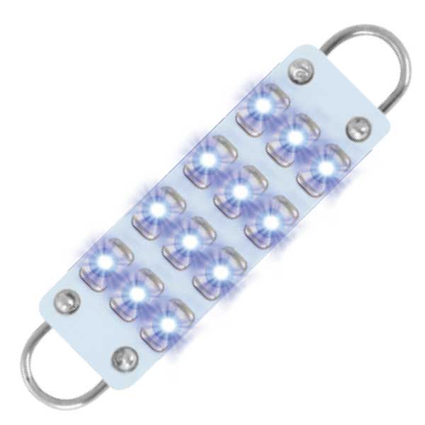 561 Interior LED Bulbs (PR)