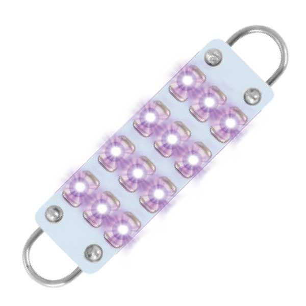 561 Interior LED Bulbs (PR)