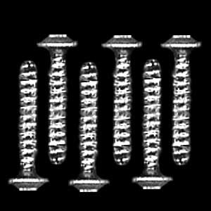Freightliner chrome dash screws 6PK for semi trucks