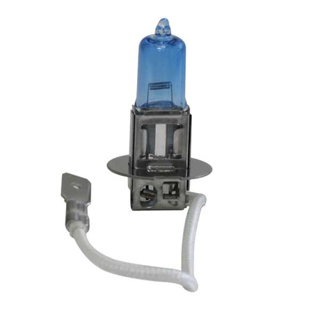 Closer view of halogen headlight bulbs (PR), detail